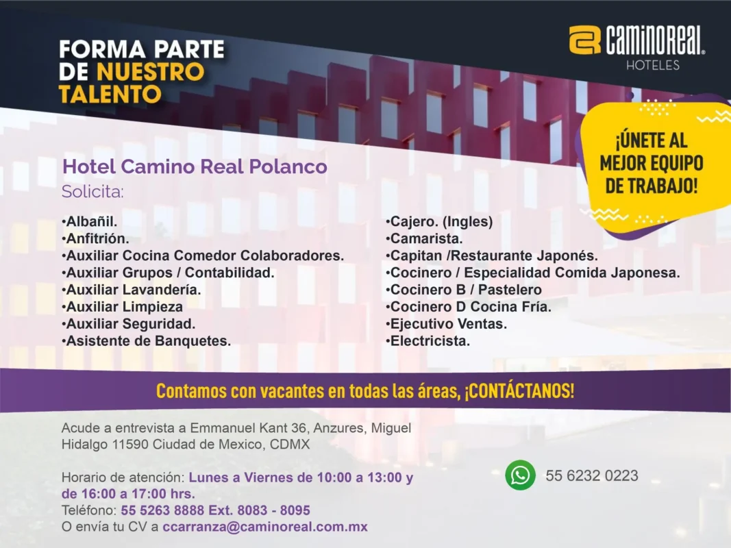 Various Position Camino Real Polanco