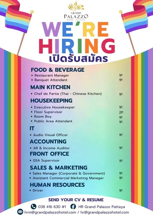 Various Position Palazo Pattaya