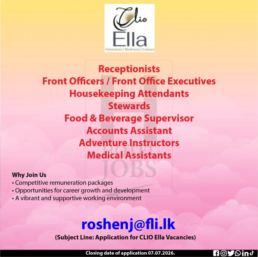 Chief Steward