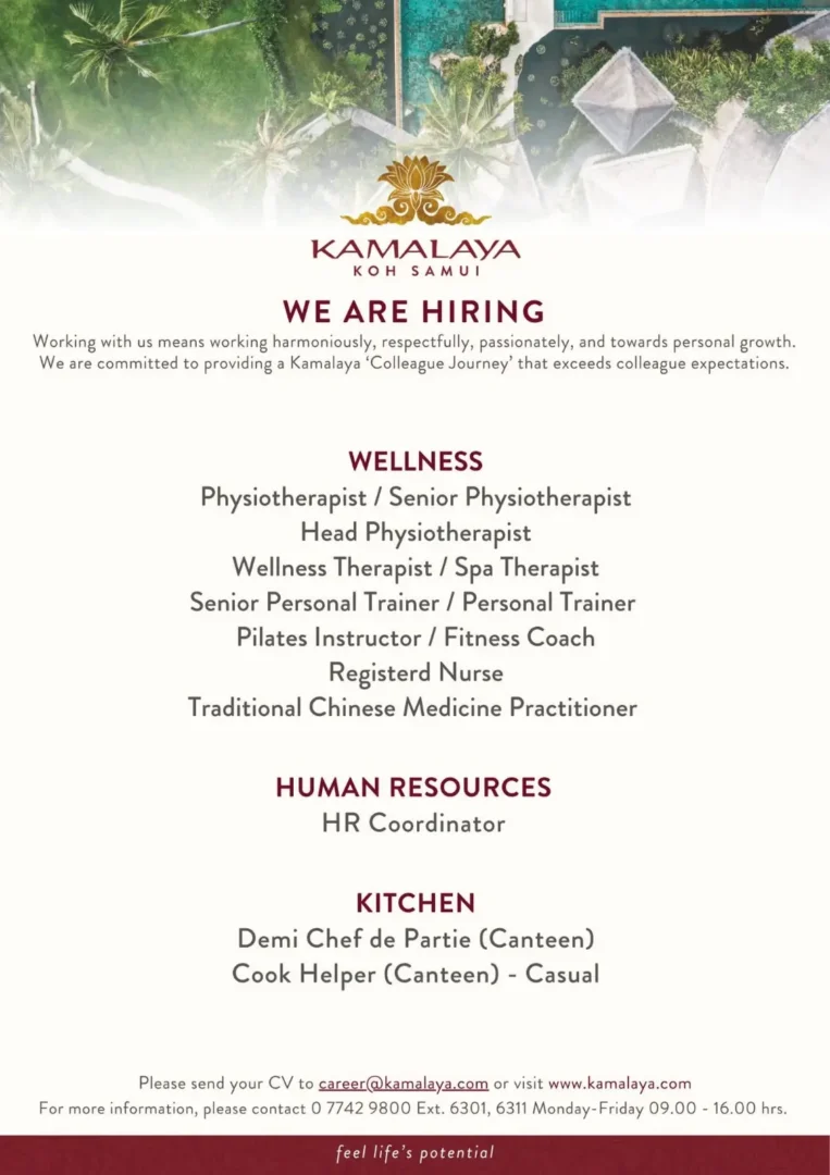 Chief Steward