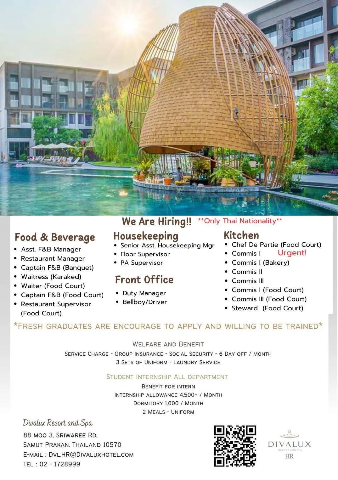 Various Position Divalux Thai