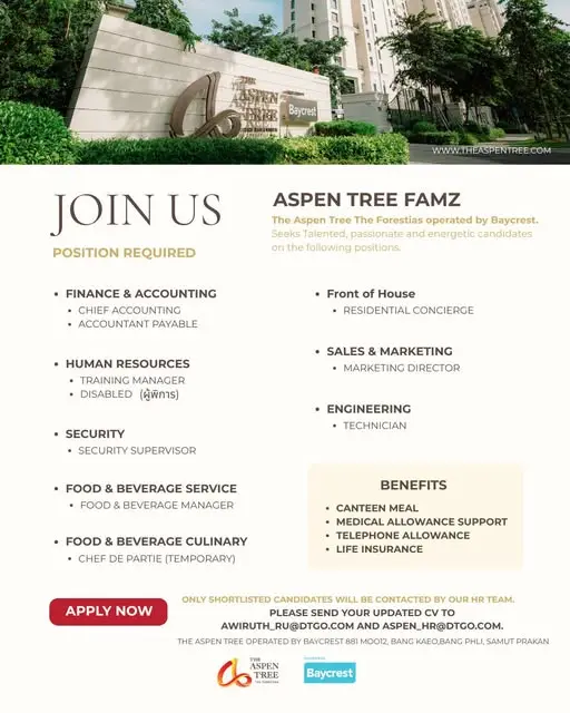 Various Position Aspen Tree Famz
