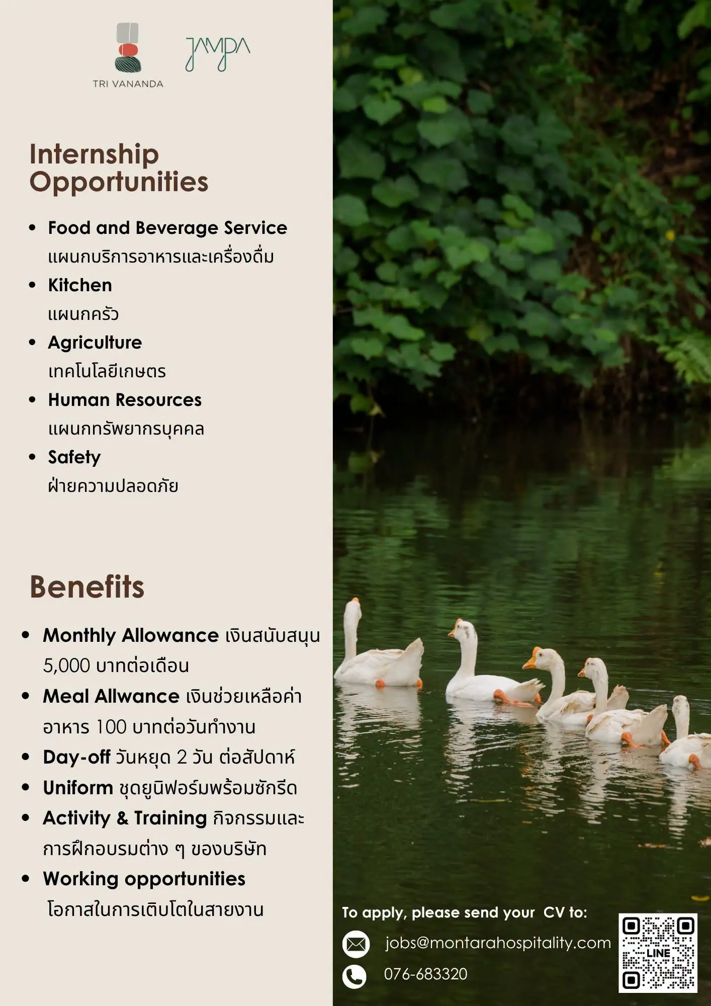 Internship The Vananda  Thai 1